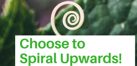 Choose to spiral upwards: A new plant spirals up out of its leaves.