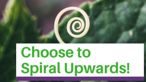 Choose to spiral upwards: A new plant spirals up out of its leaves.